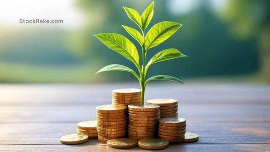 Should You Reinvest Dividends or Take the Cash